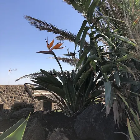 Jewel Of The Sands Teguise (Lanzarote)