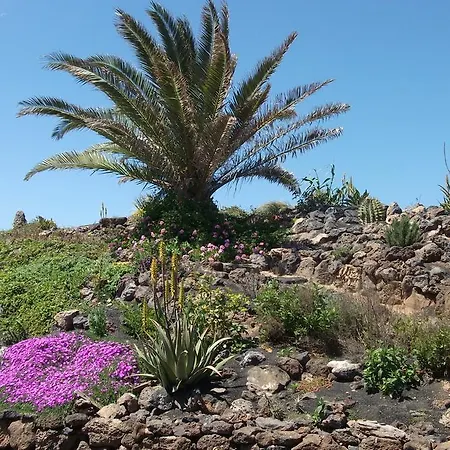 Jewel Of The Sands טגיסי